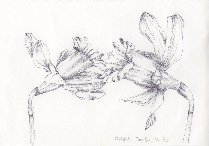 ������ł�